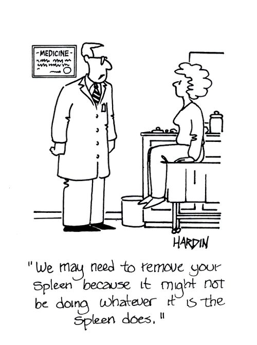 'We may need to remove your spleen because it might not be doing whatever it is the spleen does.'