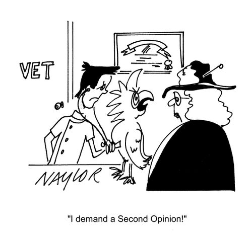'I demand a second opinion!'