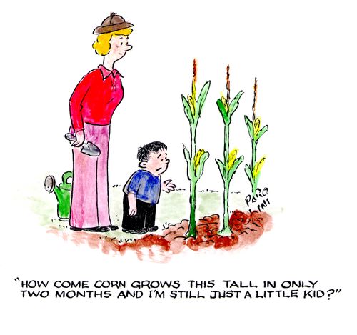 'How come corn grows this tall in only two months and I'm still just a little kid?'