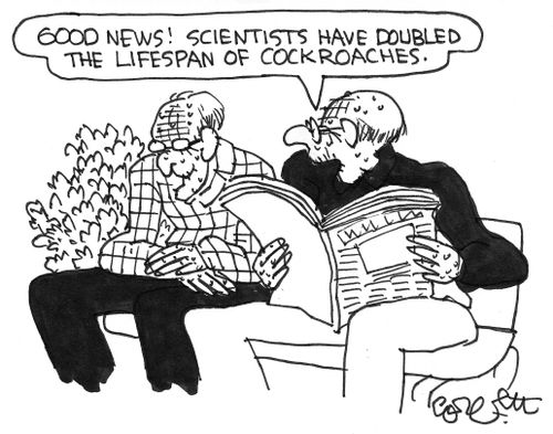 Old man: 'Good news!  Scientists have doubled the lifespan of cockroaches.'