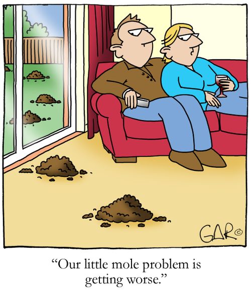 Our little mole problem is getting worse.