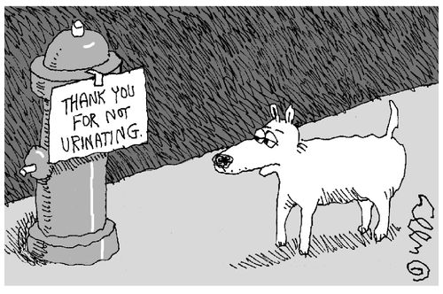 Thank you for not urinating.