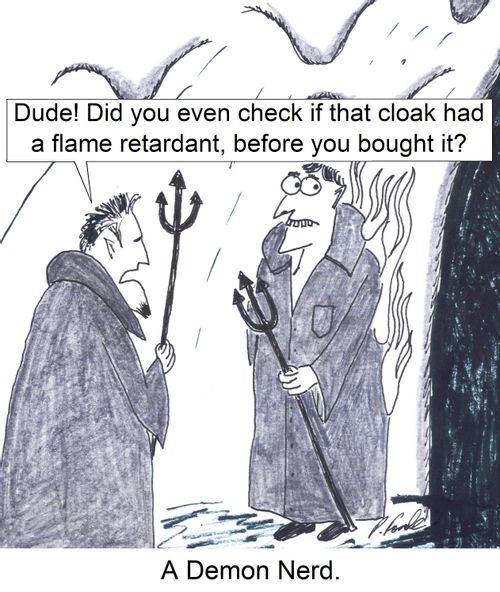 'Dude! Did you even check if that cloak had a flame retardant, before you bought it?'