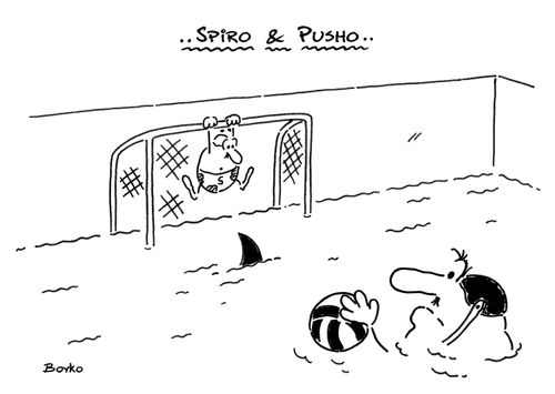 Shark in the water polo pool.