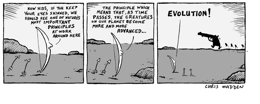Evolution at work - in weapons