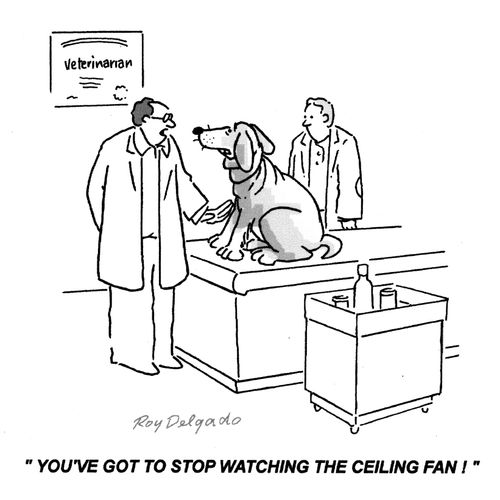 'YOU'VE GOT TO STOP WATCHING THE CEILING FAN!'