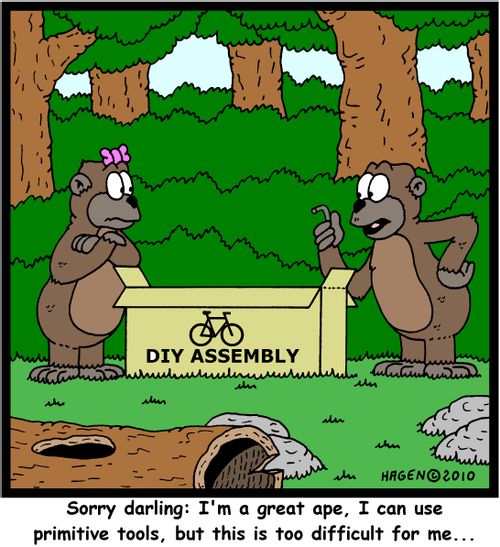 'Sorry darling: I'm a great ape, I can use primitive tools, but this is too difficult for me...'