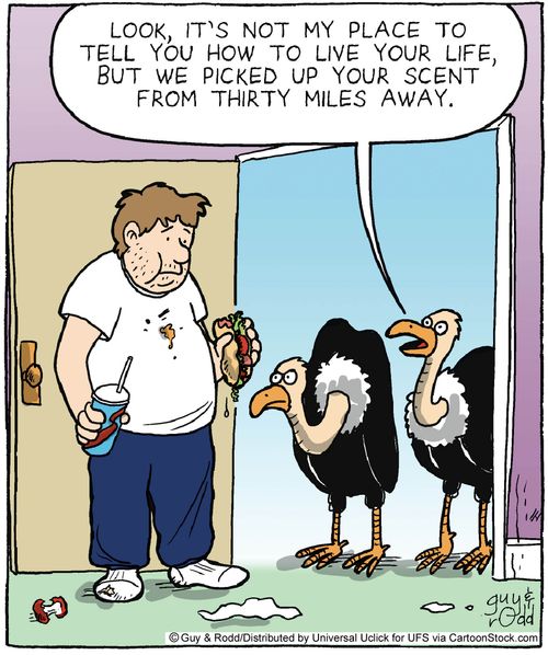 'Look, it's not my place to tell you how to live your life, but we picked up your scent from 30 miles away.'