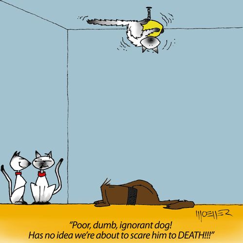 'Poor, dumb, ignorant dog!  Has no idea we're about to scare him to DEATH!!!'