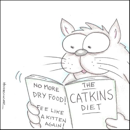 The Catkins Diet