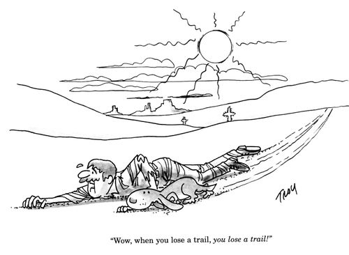 'Wow, when you lose a trail, you lose a trail!'