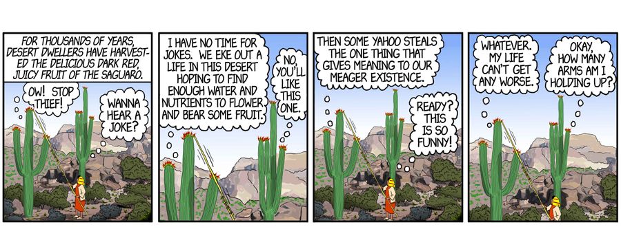 For thousands of years desert dwellers have harvested the delicious dark red juicy fruit of the saguaro.