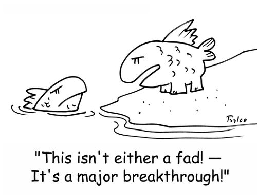 'This isn't either a fad! -- It's a major breakthrough!'