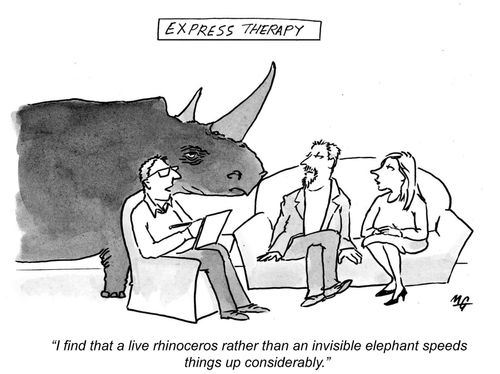 'I find that a live rhinoceros rather than an invisible elephant speeds things up considerably.'