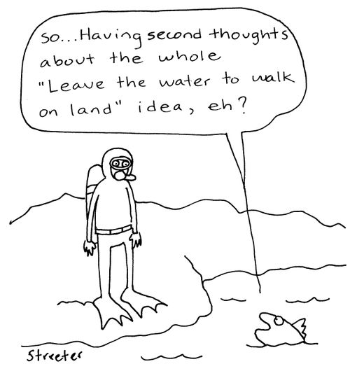 Second thoughts about leaving the water.