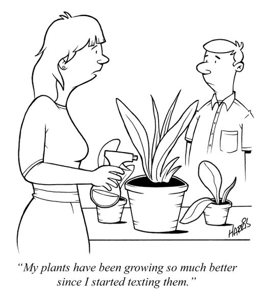 "My plants have been growing so much better since I started texting them."