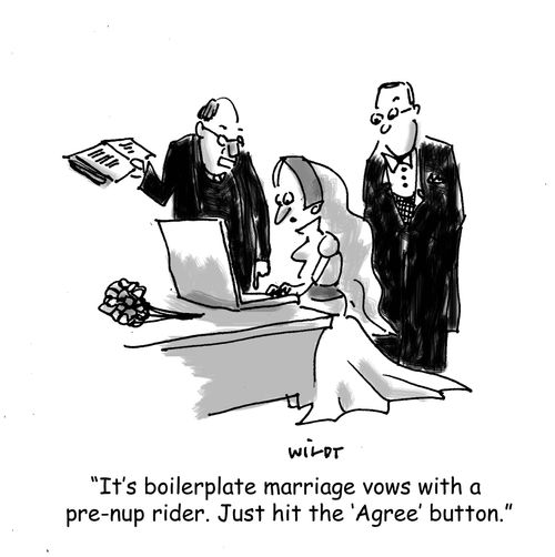 "It's boilerplate marriage vows with a pre-nup rider. Just hit the 'agree' button."