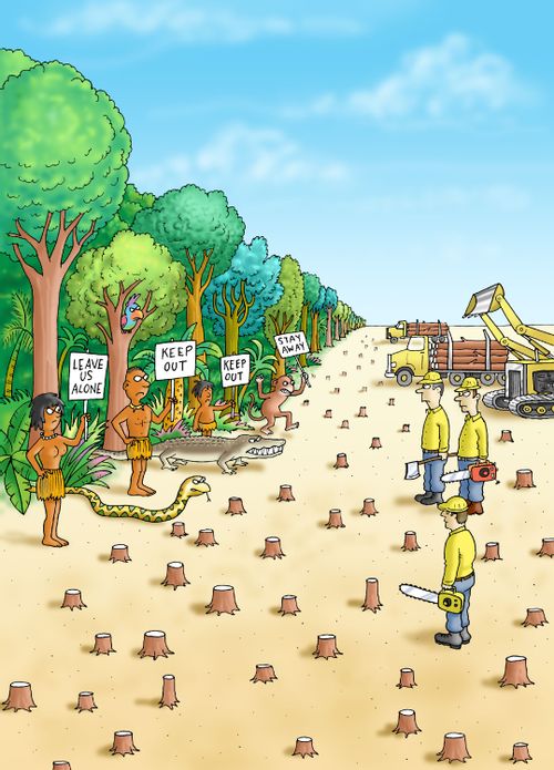 Deforestation.