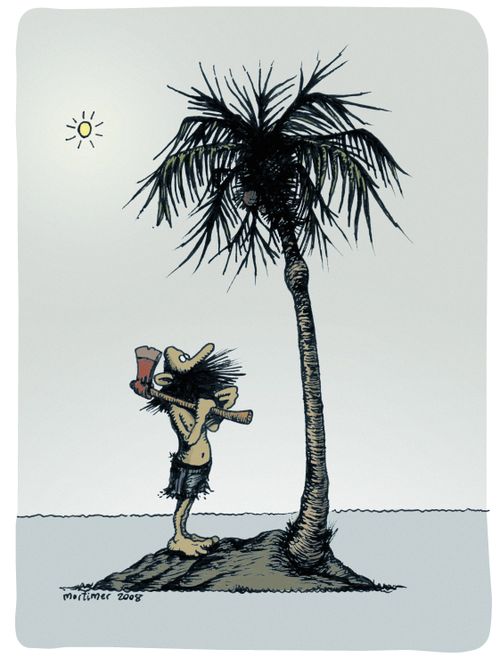 The castaway and the palm tree.