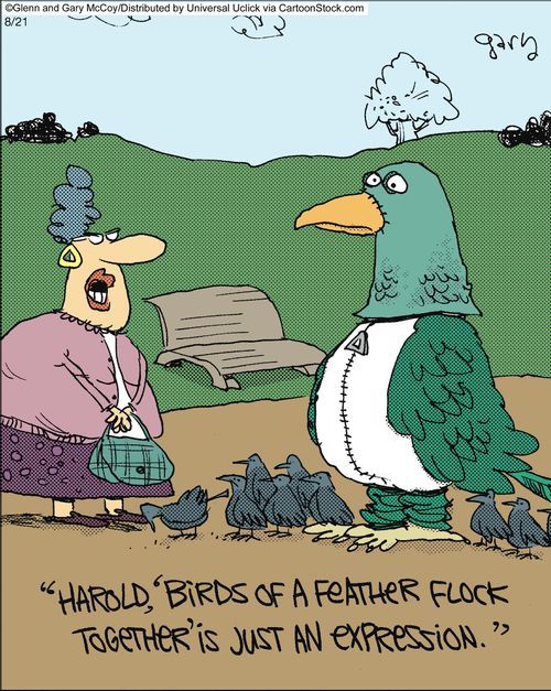 'Harold, 'Birds of a feather flock together' is just and expression.'