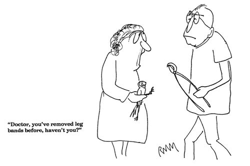 'Doctor, you've removed leg bands before, haven't you?'