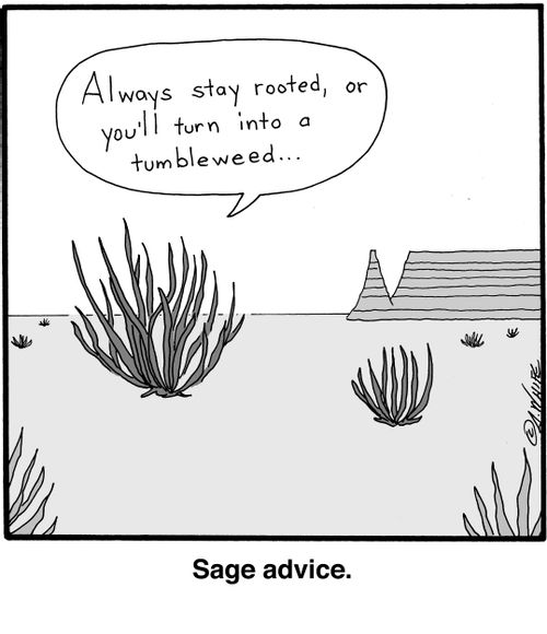 "Always stay rooted, or you'll turn into a tumbleweed..."