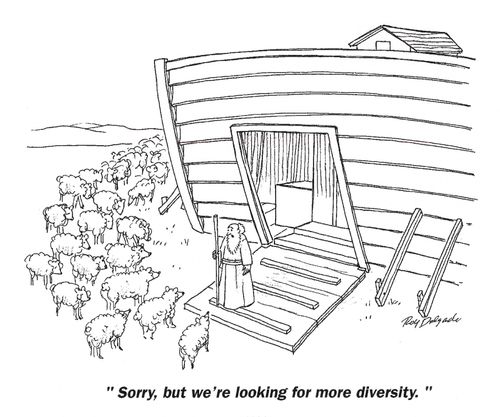 'Sorry, but we're looking for more diversity.'