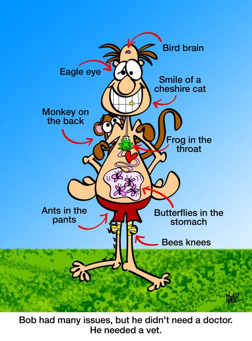 Bob had many issues, but he didn't need a doctor. He needed a vet.