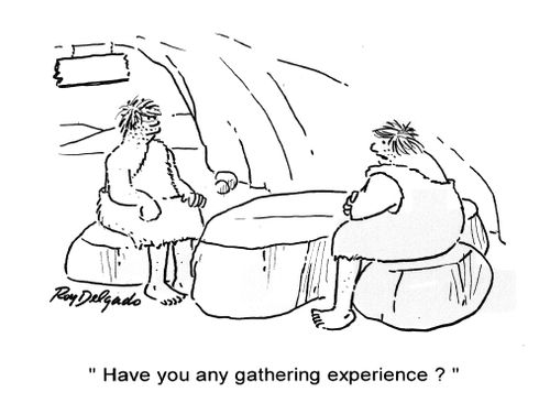 'Have you any gathering experience?'