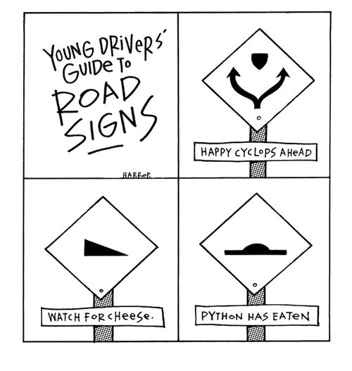 Young driver's guide to road signs.