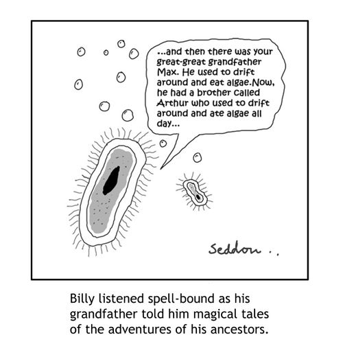 Billy listened spell-bound as his grandfather told him magical tales about the adventures of his ancestors.