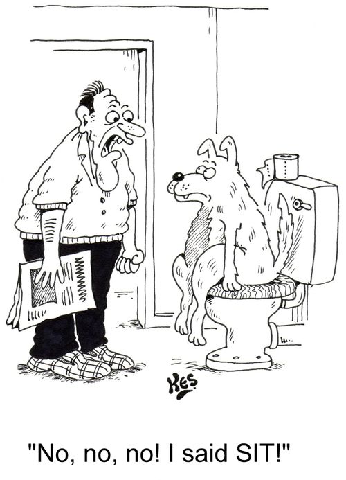 'No, no, no I said SIT'