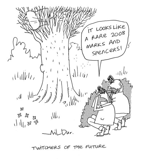 'It looks like a rare 2008 Marks and Spencers!' - twitchers of the future