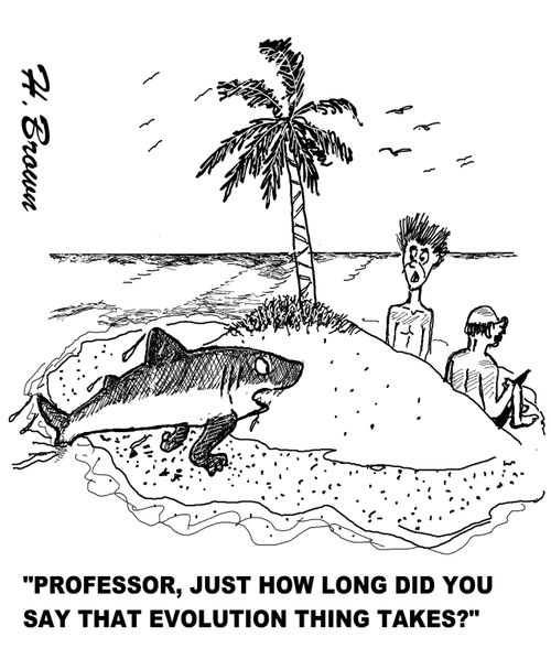 "Professor, just how long did you say that evolution thing takes?"