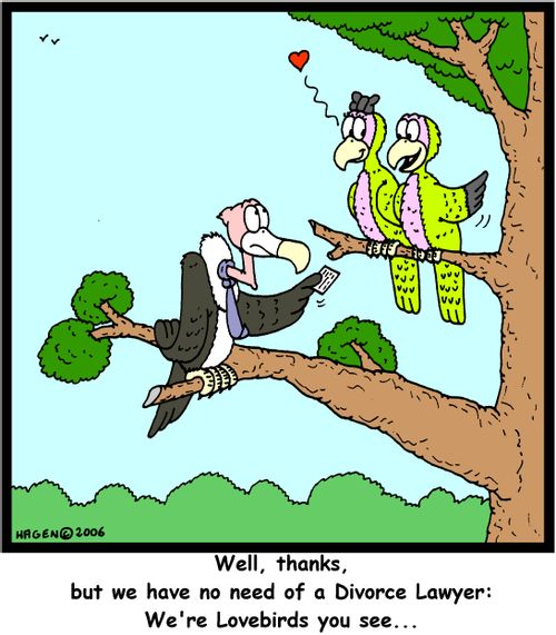 Well, thanks, but we have no need of a Divorce Lawyer: We're Lovebirds you see...'