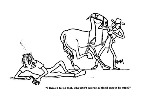 'I think I felt a foal. Why don't we run a blood test to be sure?'