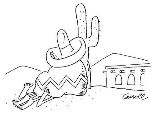 A Mexican hat with two pairs of legs coming from underneath