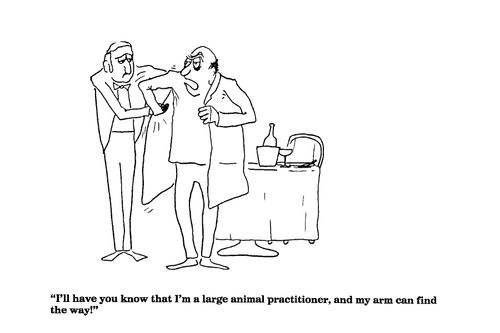 'I'll have you know that I'm a large animal practitioner'