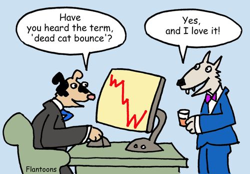 "Have you heard the term, 'dead cat bounce'?" 