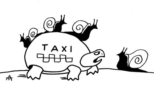 Tortoise is snail taxi.