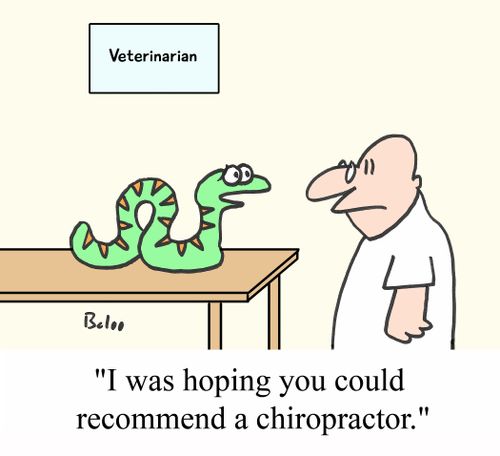 'I was hoping you could recommend a good chiropractor.'