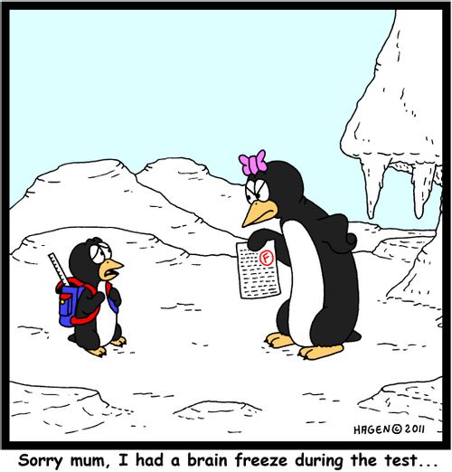 'Sorry mum, I had a brain freeze during the test...'