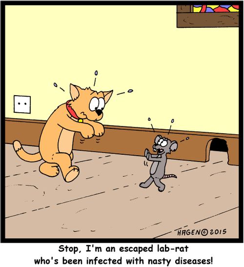 "Stop, I'm an escaped lab-rat who's been infected with nasty diseases!"