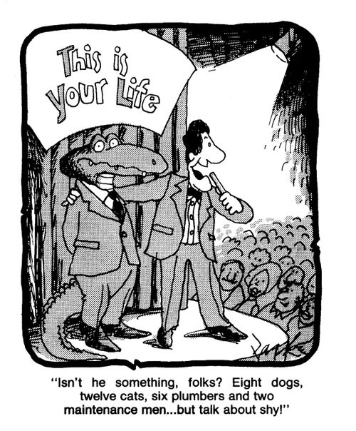 'isn't he something, folks? Eight dogs, twelve cats, six plumbers and two maintenance men...but talk about shy!'