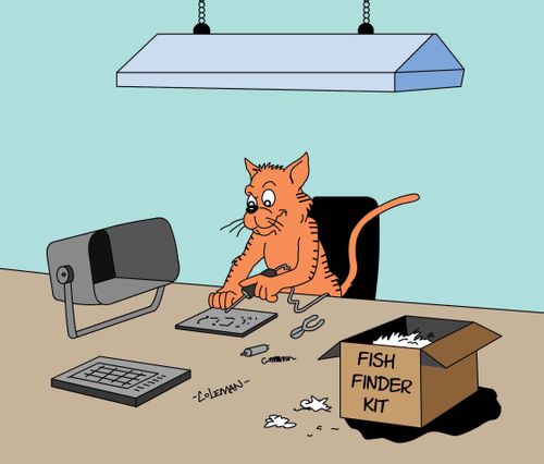Cat Assembling Electronic Fish Finder