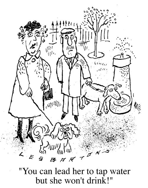 Spoit Dog/ "You can lead her to tap water,but you can't make her drink."