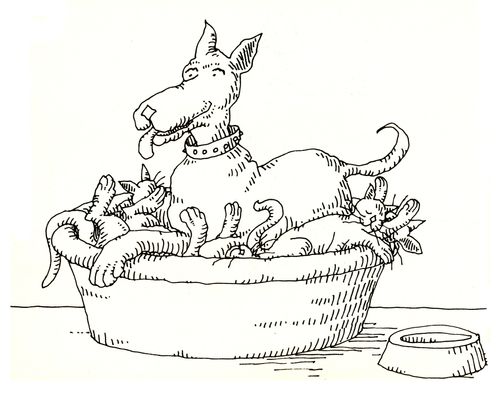 101 uses of a dead cat: dog's bed.