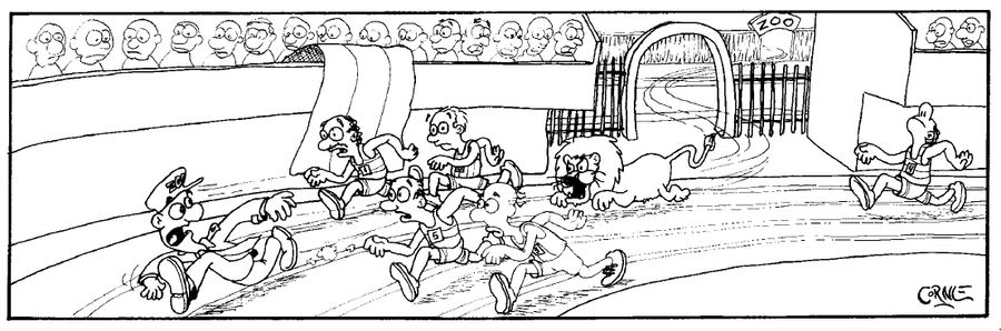 Lion Escapes from Zoo