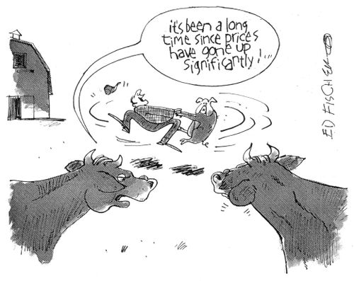 Cash Cows.