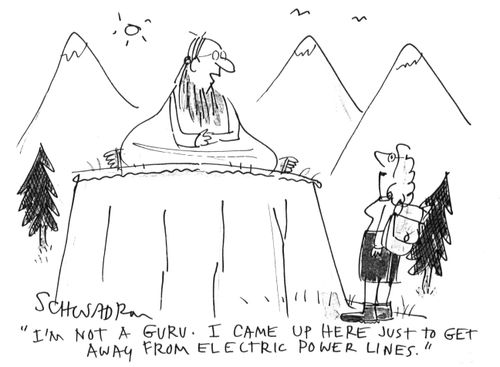 'I'm not a guru. I came up here just to get away from electric power lines.'